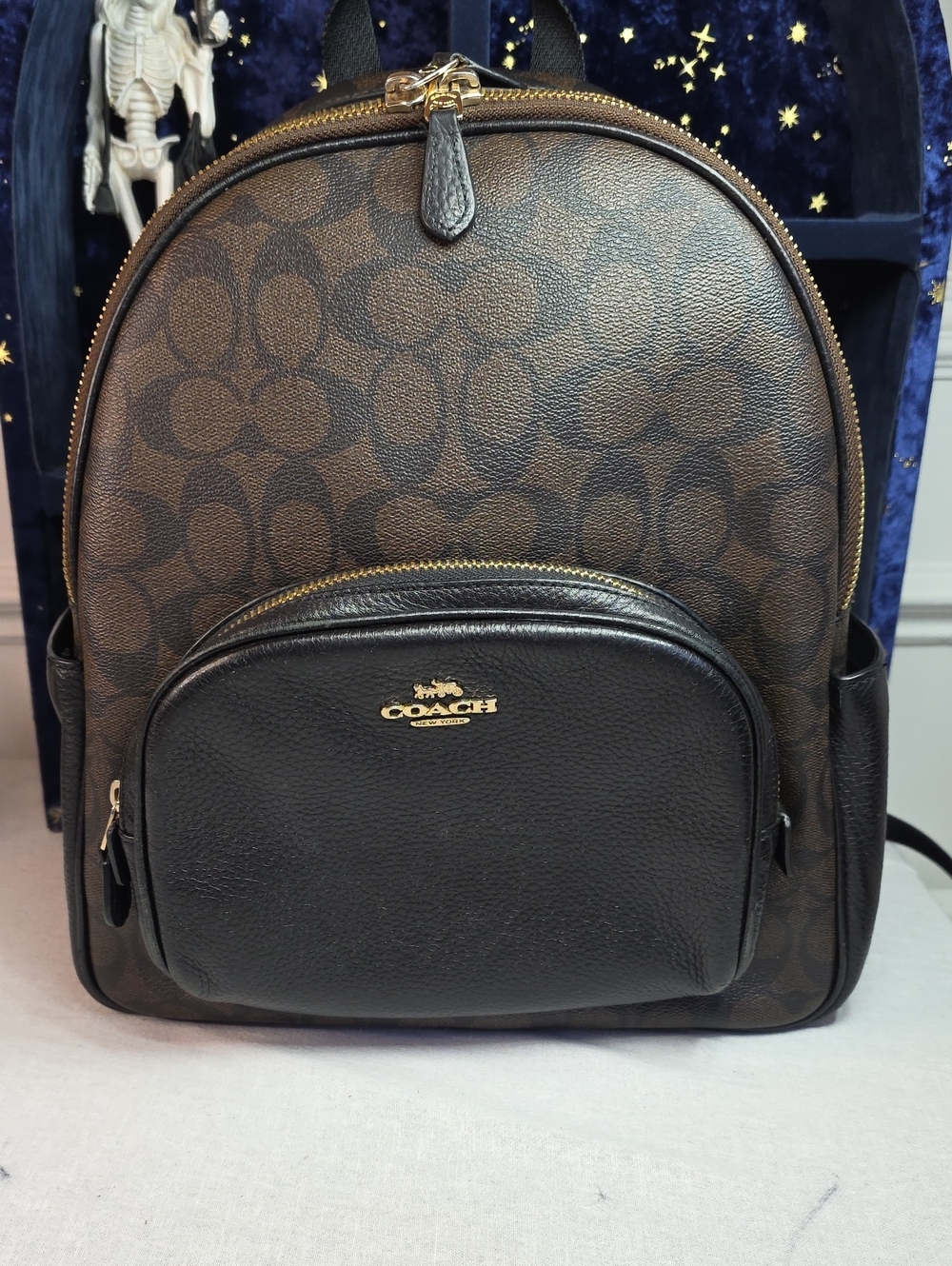 Coach Court Backpack in Signature Canvas